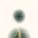 Avatar of Tania Natalnael