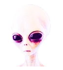 Avatar of Saba Sharia