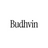 Avatar of Budhvin